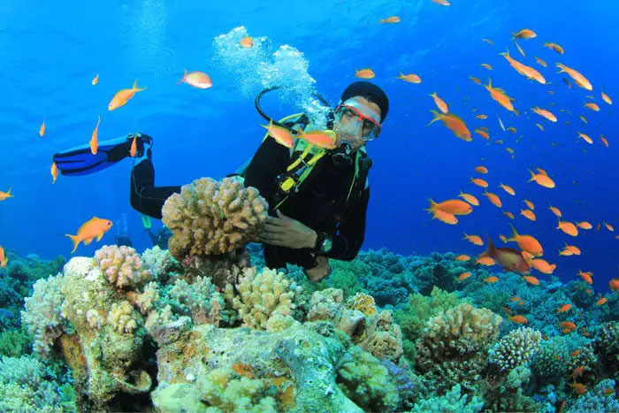 Scuba-Diving in india