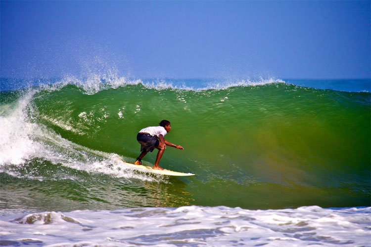 Surfing-india