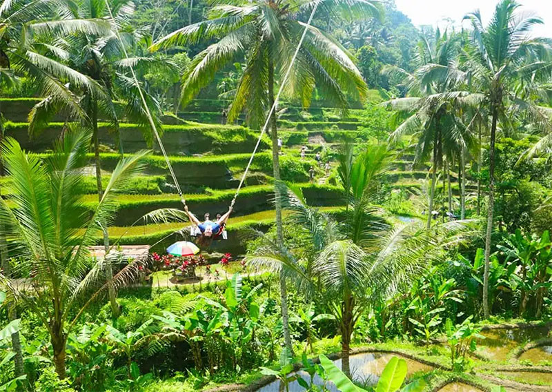 Tegalalang-Rice-Terraces