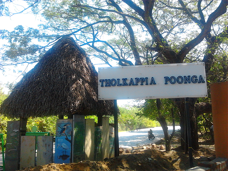 Tholkappia-Poonga-chennai