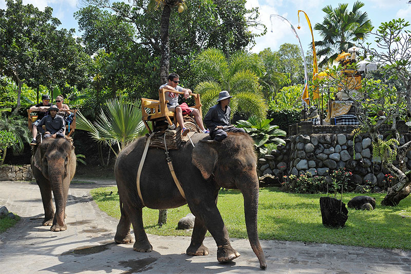 bali-zoo