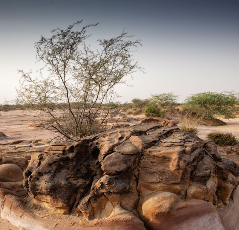 beautiful land of Kutch Gujarat