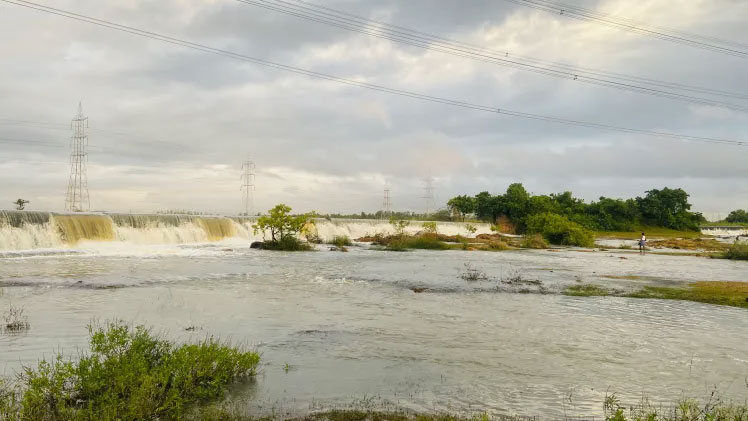 Another hidden germ near Chennai – Thaiyur dam