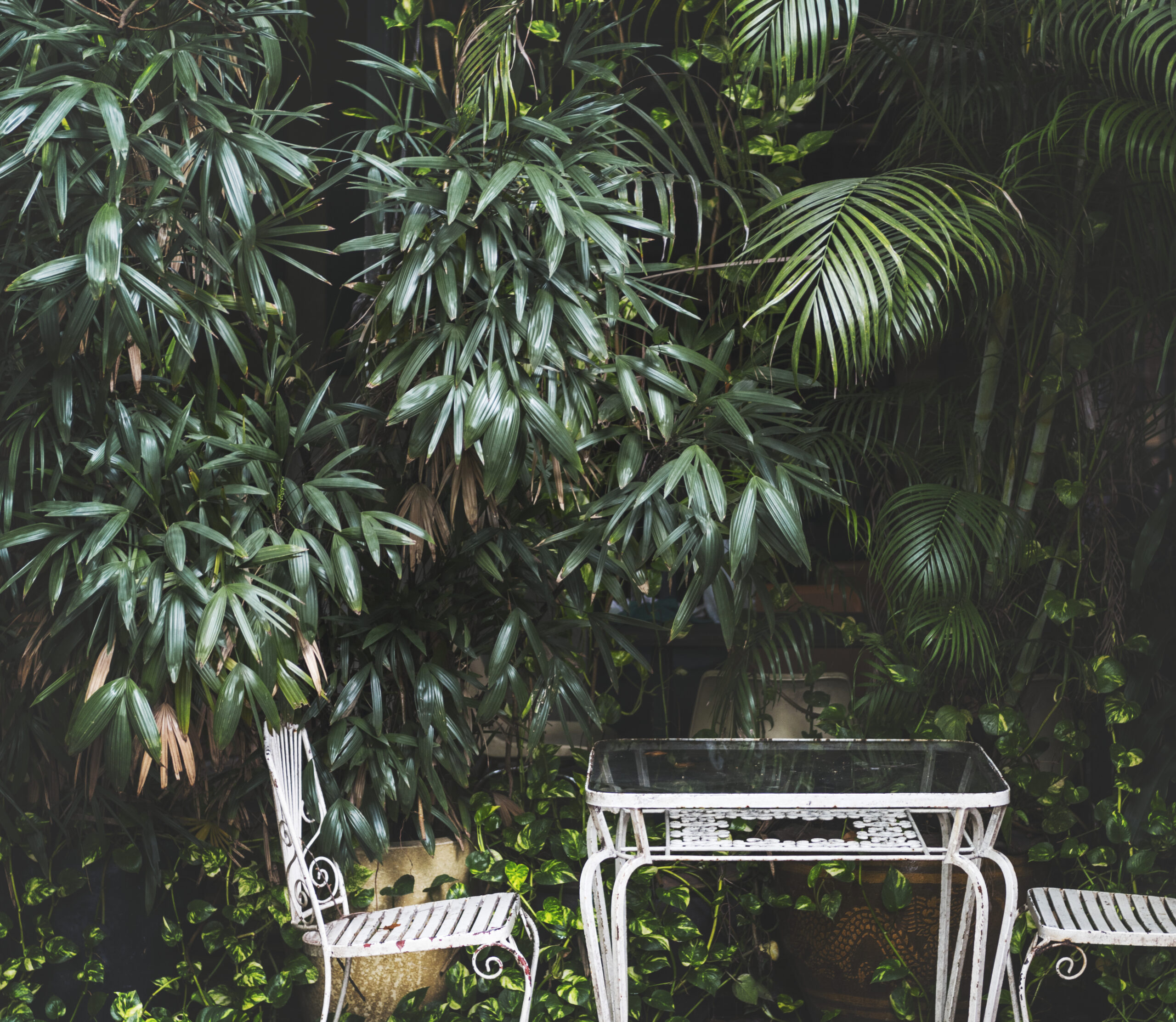 🌼 Elevate your outdoor space with a touch of nature! Turn your balcony into a vibrant garden oasis with these simple yet effective tips. 🌱🏞️ #BalconyGarden #GreenSpace #HomeRevamp #YourPlatform 🌿🌸
