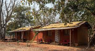 Living with the Locals: Homestay Experiences in Rural India