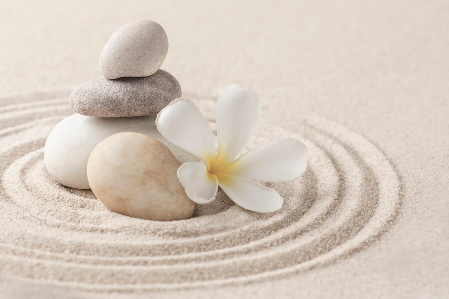 Reflect, Rewind & Harmonize: Guide to Crafting Your Own Serene Zen Garden! 