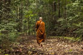 Monastic Trails: Embarking on a Spiritual Odyssey