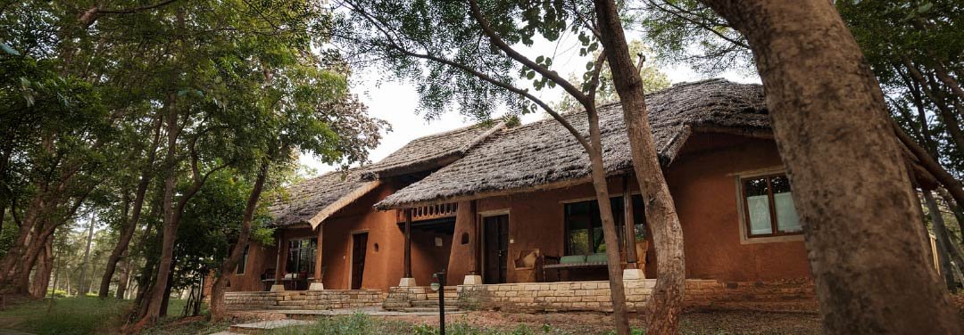 Traditional earth-toned cottages with thatched roofs, shaded verandas and surrounding trees, showcasing natural building materials and eco-friendly home design.