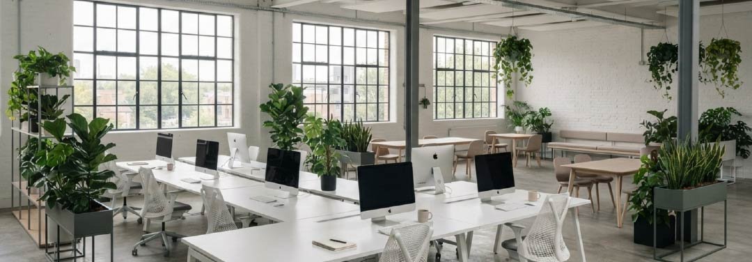 Modern open-plan office with computer workstations, white desks, ergonomic chairs, large windows and indoor plants.